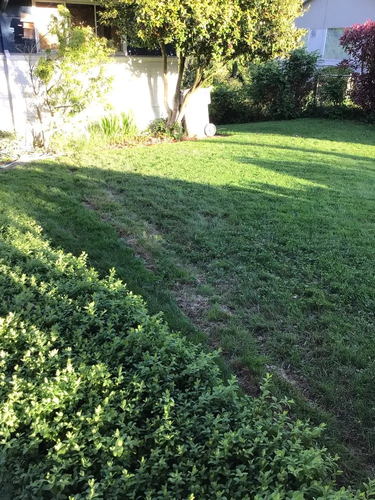 Slide of Repipe Masters