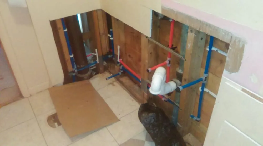 Professional drain cleaning service in Chicago, IL - Repipe Specialists - Chicago