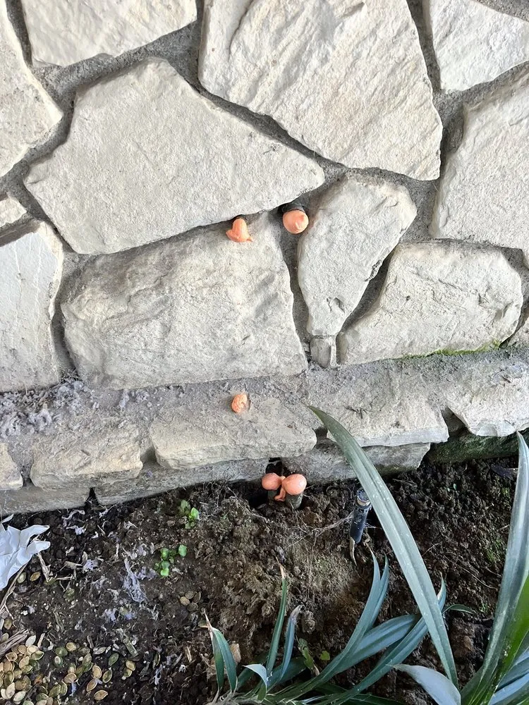 Slide of Repipe Specialists - Los Angeles