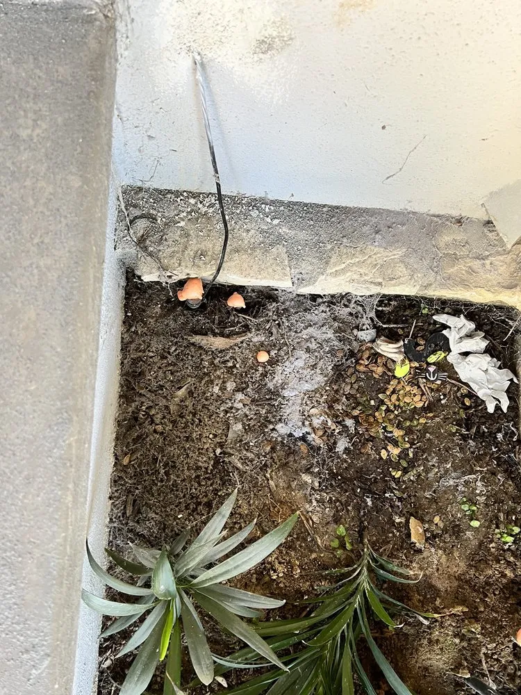 Slide of Repipe Specialists - Los Angeles