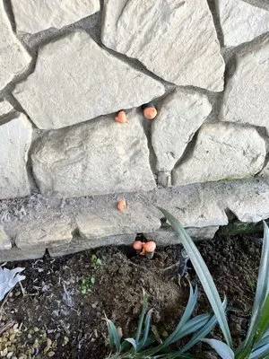 Repipe Specialists - Los Angeles Logo