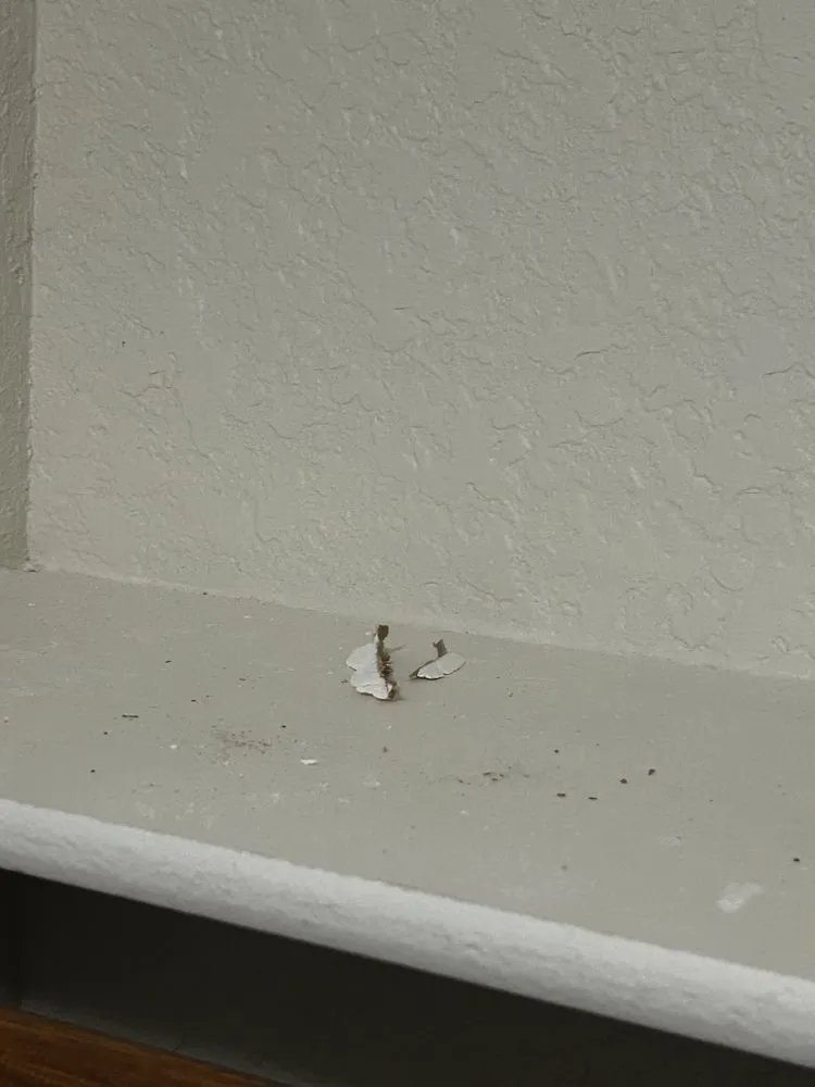 Slide of Repipe Specialists - San Antonio