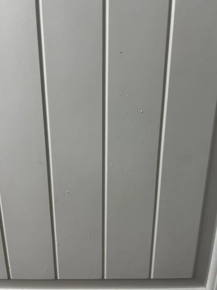 Slide of Repipe Specialists - San Antonio