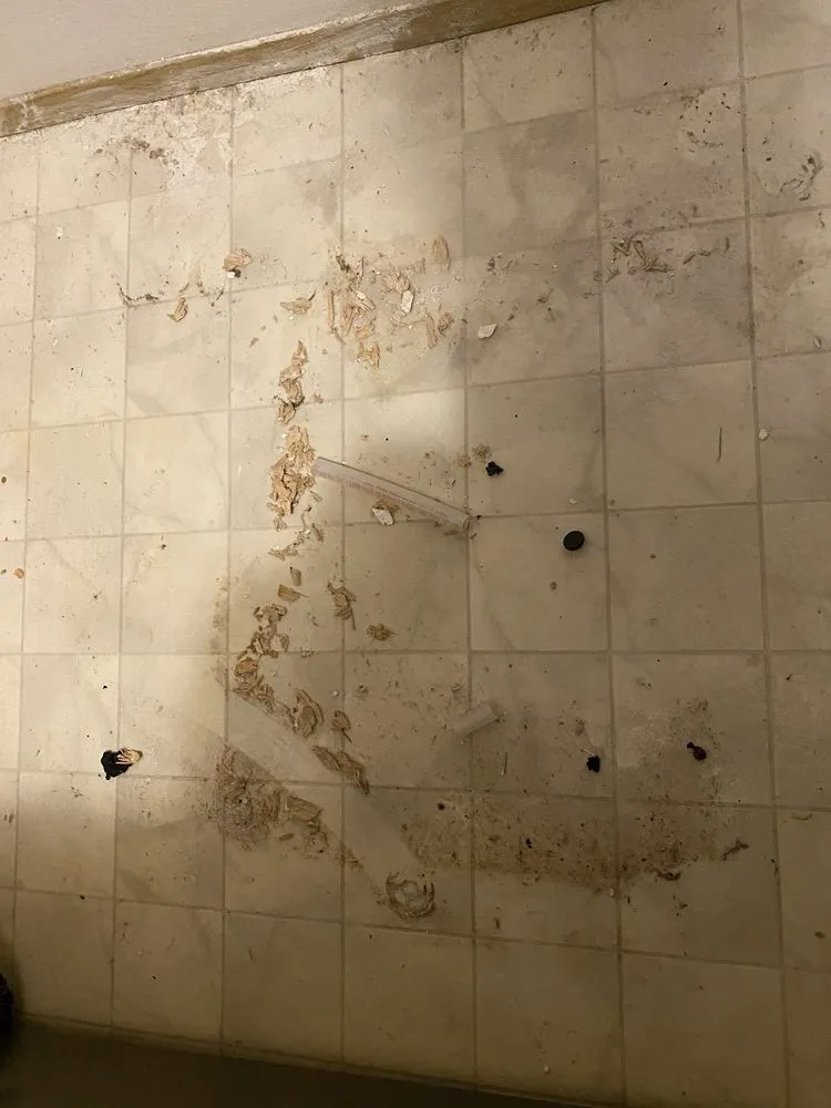 Slide of Repipe Specialists - Seattle