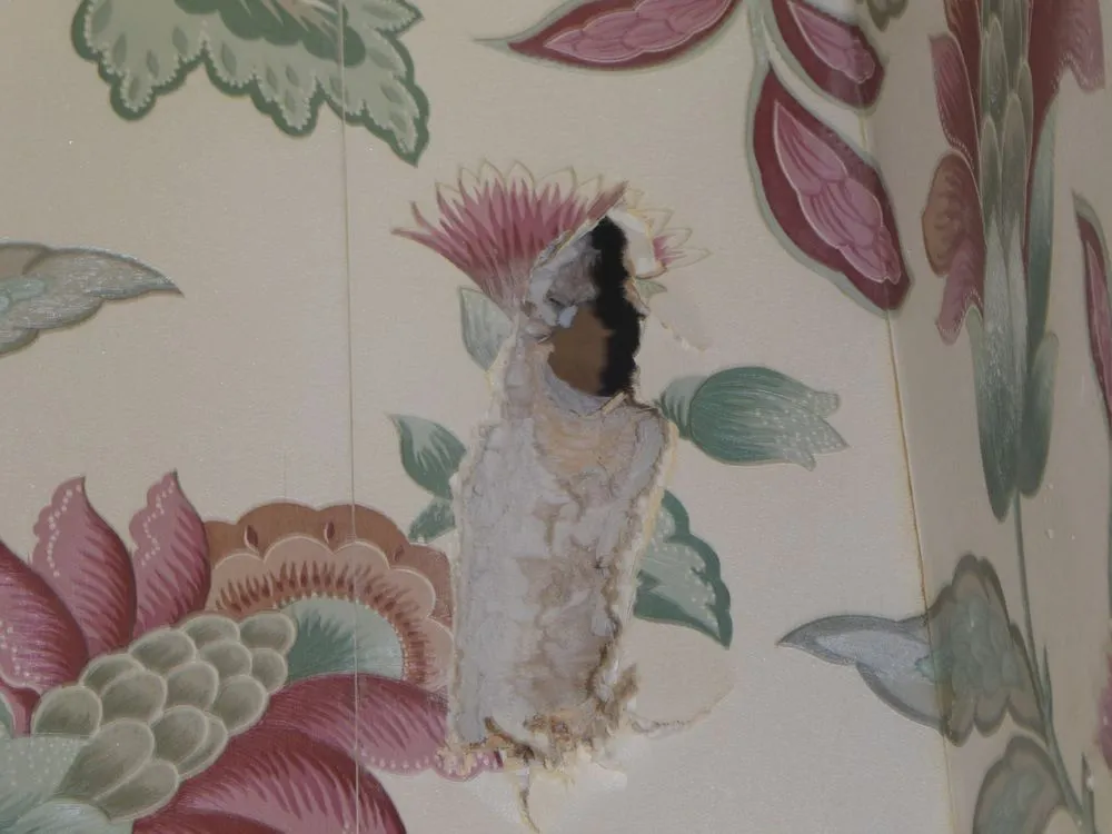 Slide of Repipe Specialists