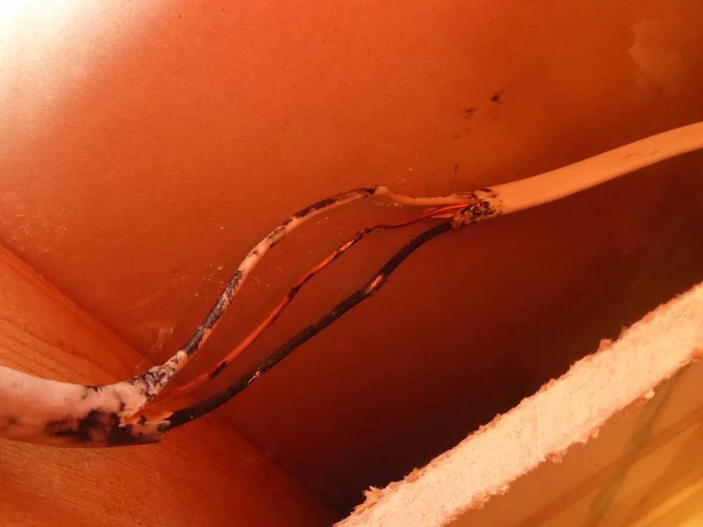 Slide of Repipe Specialists