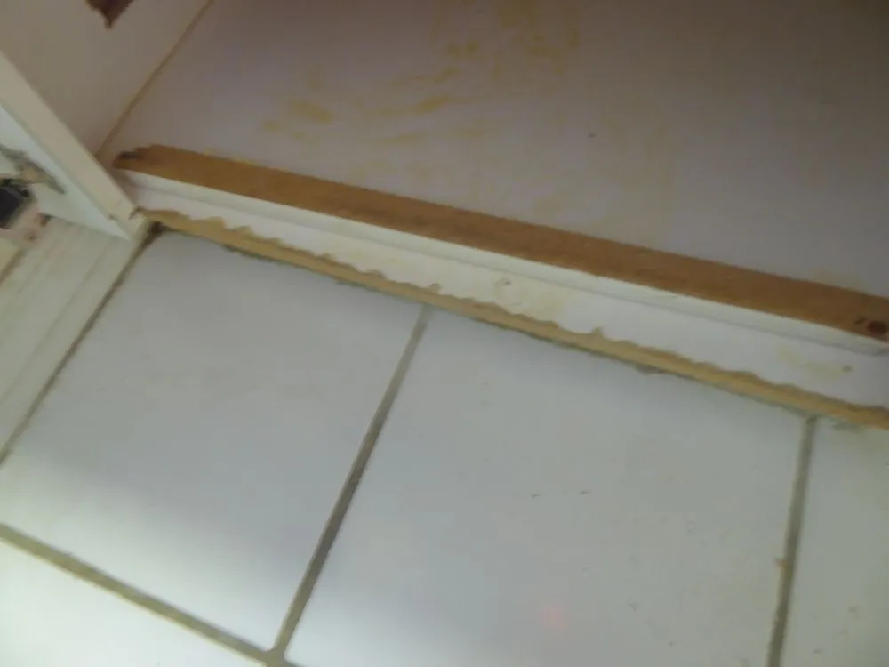 Slide of Repipe Specialists