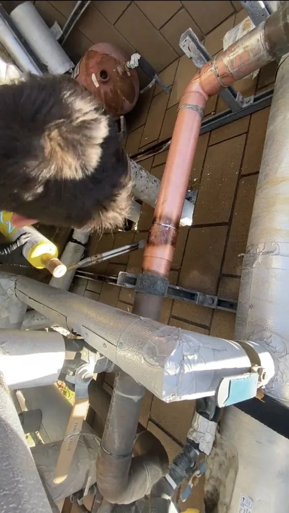 Slide of Rescue Plumbers