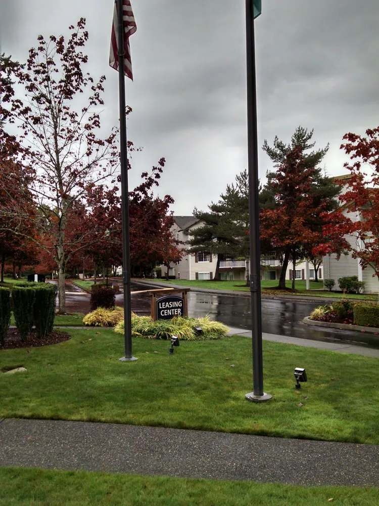 Reliable leak detection in University Place, WA by Resicon Heating and Air, Plumbing & Electrical