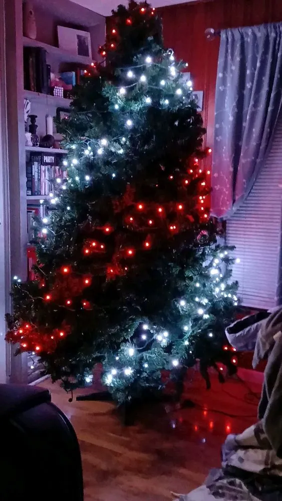 Slide of Residential Services