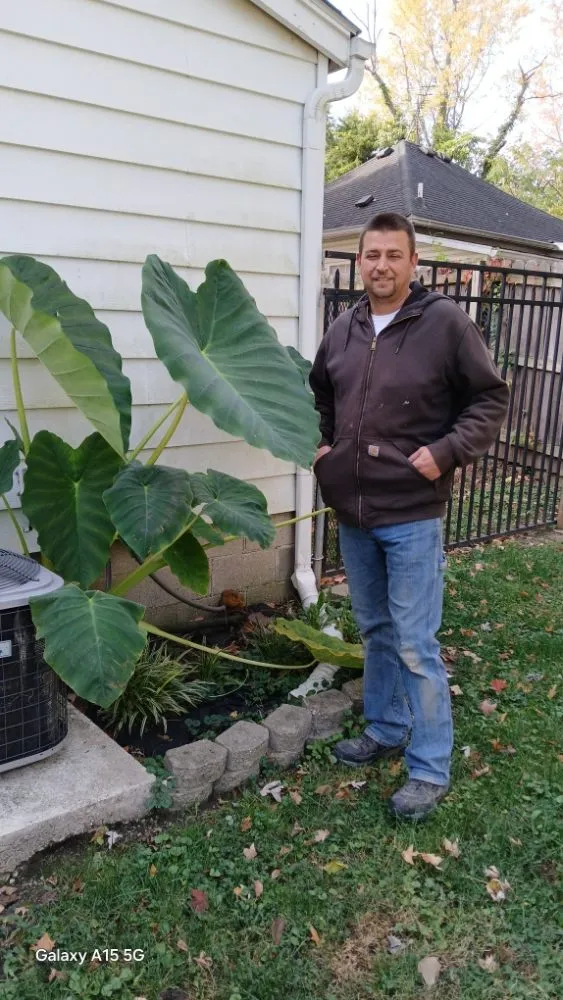 Trusted pipe repair for homes in Bloomington, IN by Residential Services