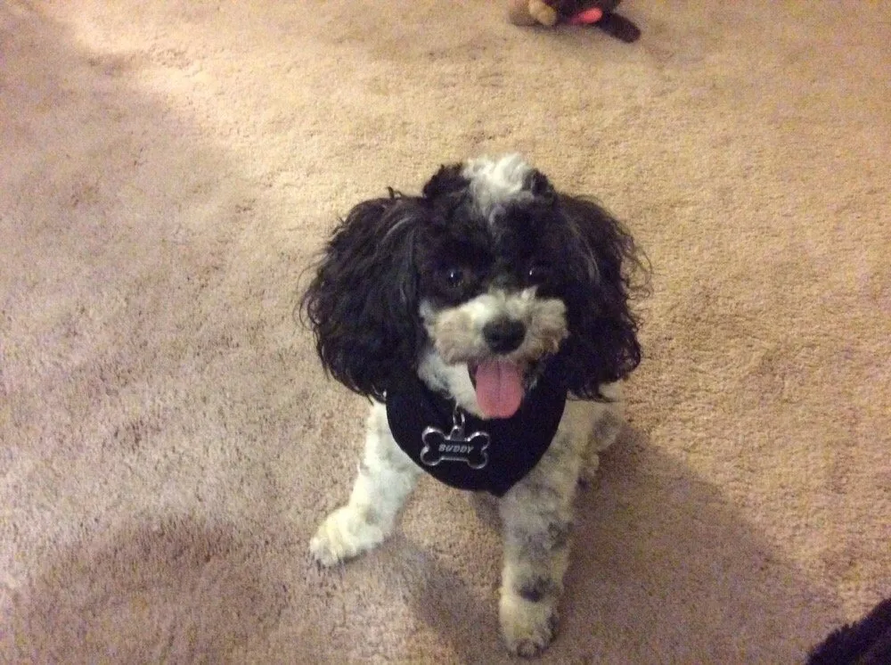 Slide of Restano Heating, Cooling & Plumbing