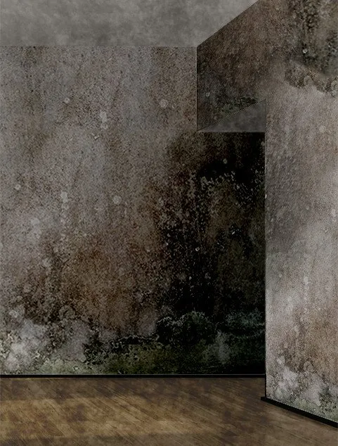 Slide of Restoration 1 of Southwest Florida