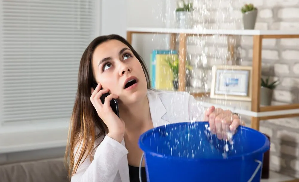 Slide of Restoration24