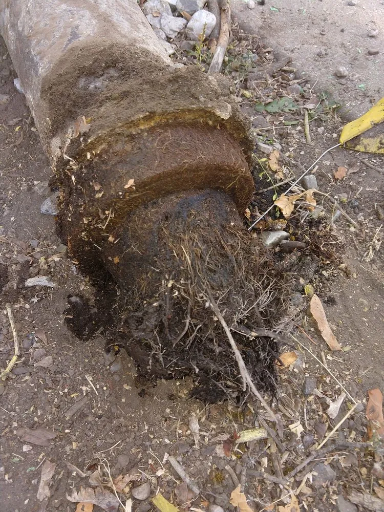 Slide of Restore Pipe Systems