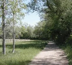 Slide of Restore Pipe Systems