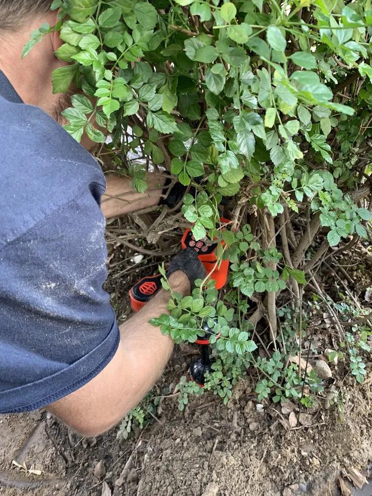 Slide of Resurrection Plumbing