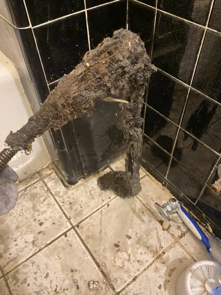 Slide of Revelation services