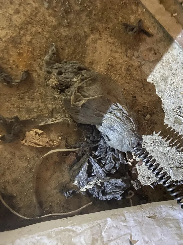 Slide of Revelation services