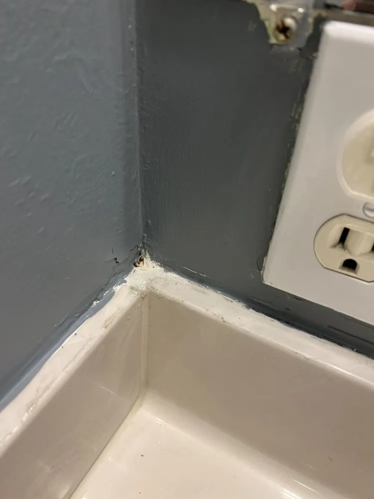 Expert drain cleaning for homes in Louisville, KY by Reynolds Painting & Home Improvement