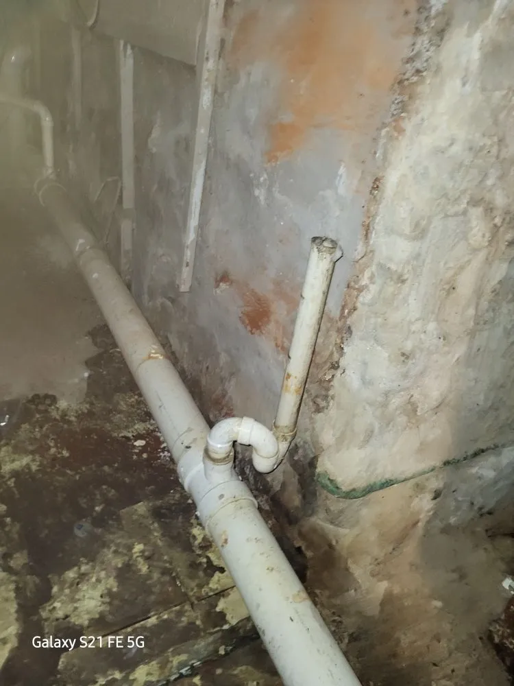 Top-rated leak detection for homes in Philadelphia, PA by Reynolds Pipes and Drains