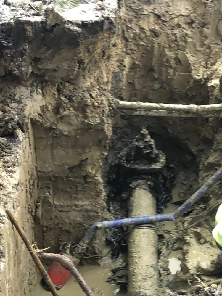 Slide of Rhiner’s Services