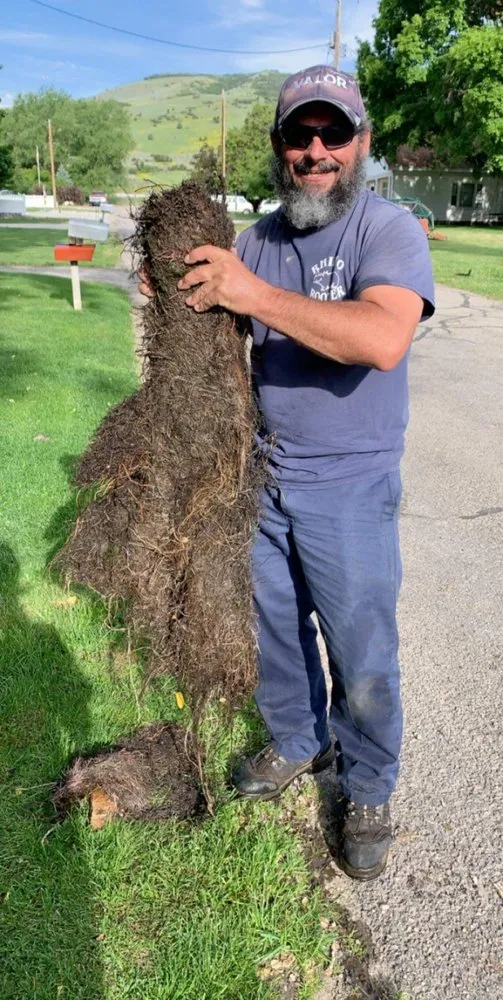 Slide of Rhino Rooter