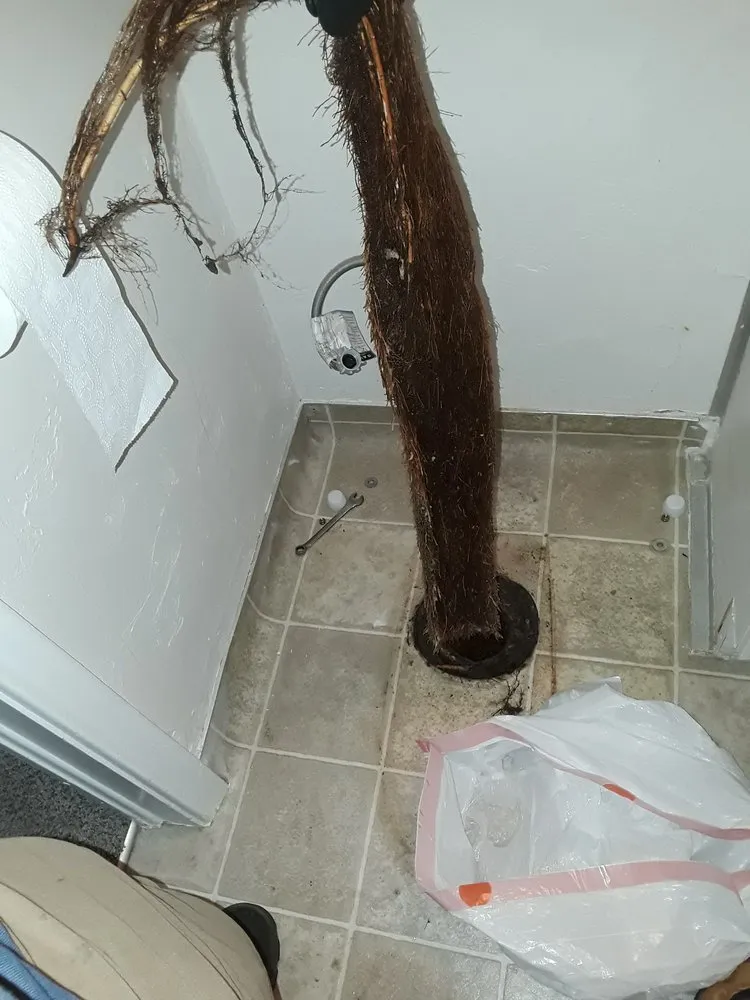 Slide of Rhino Rooter