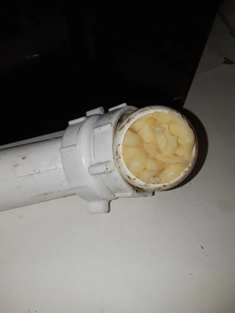 Slide of Rhino Rooter