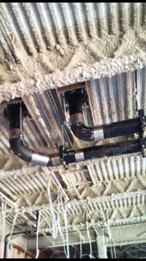 Reliable drain cleaning service in Pearland, TX - Rhino Tech Plumbing