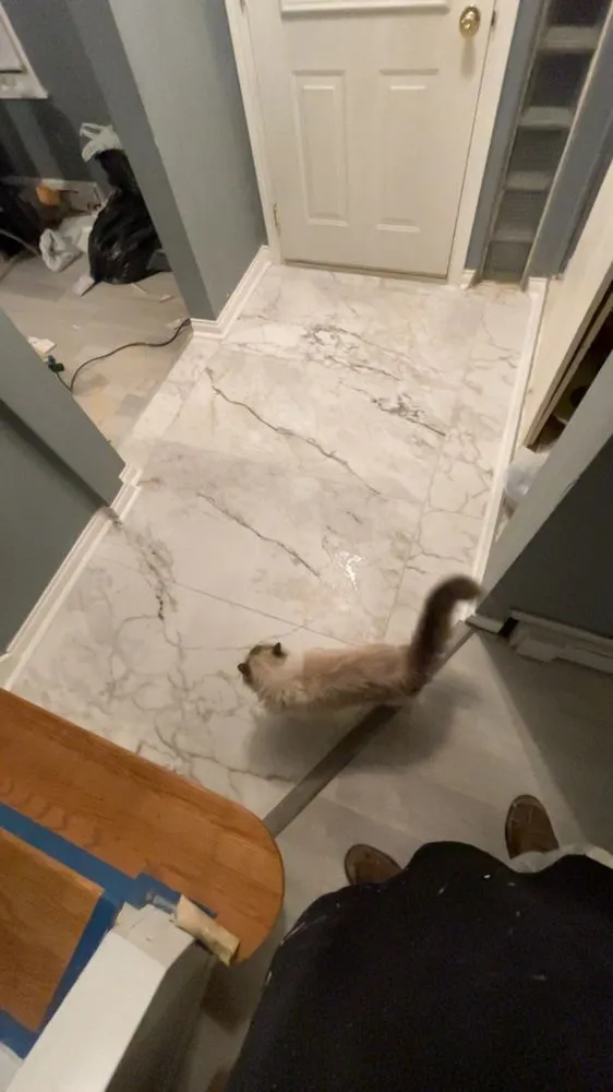 Slide of Rhinos Renovation and Demo