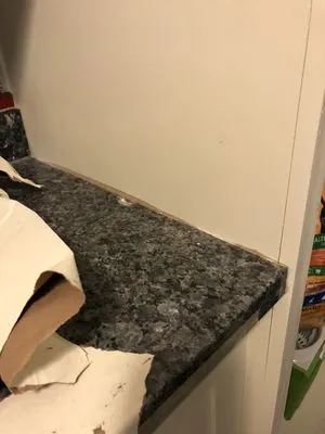 Rhodes Remodeling Logo