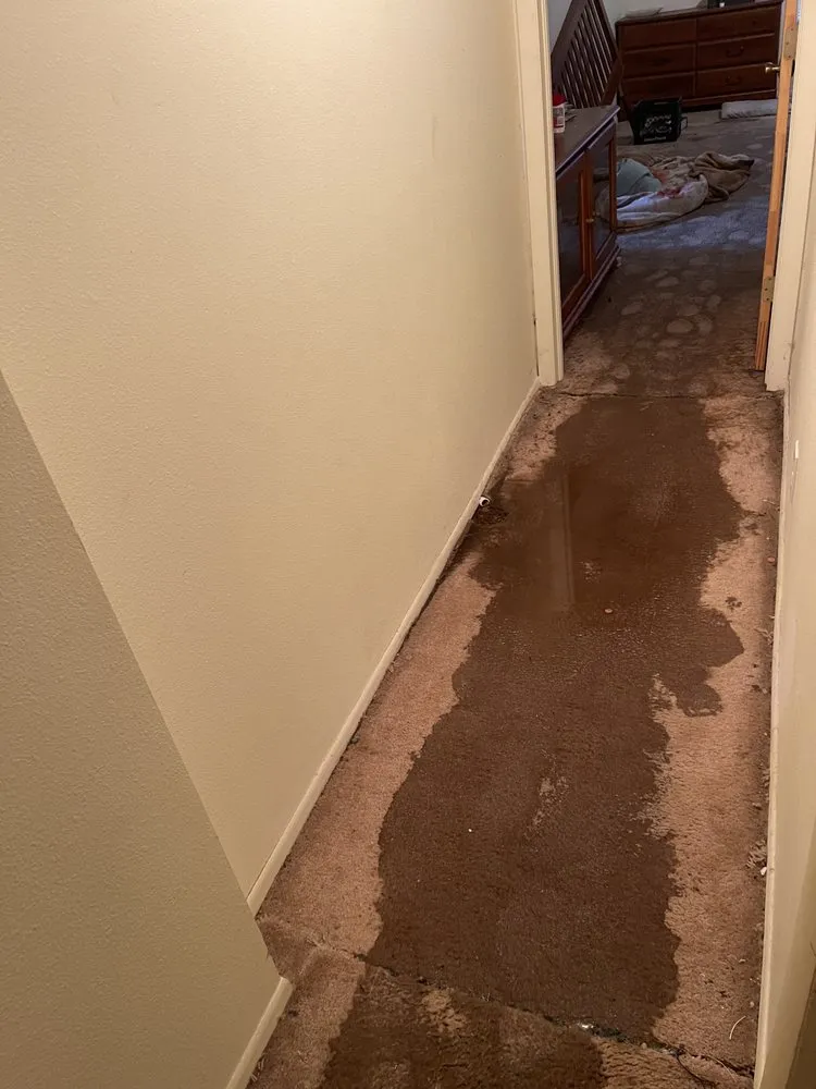 Slide of RHR Plumbing