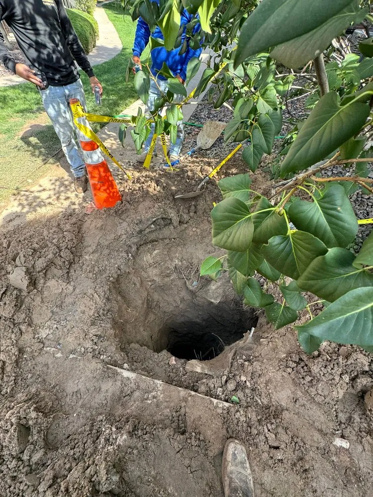 Slide of RHR Plumbing