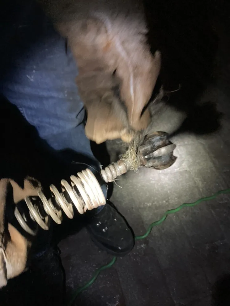 Expert leak detection for homes in Hacienda Heights, CA by RHS Plumbing & Drains