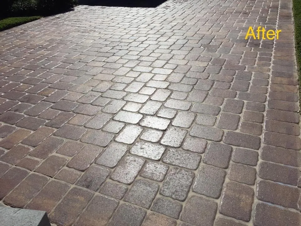 Slide of Ribeiro Renovatio Construction And Development