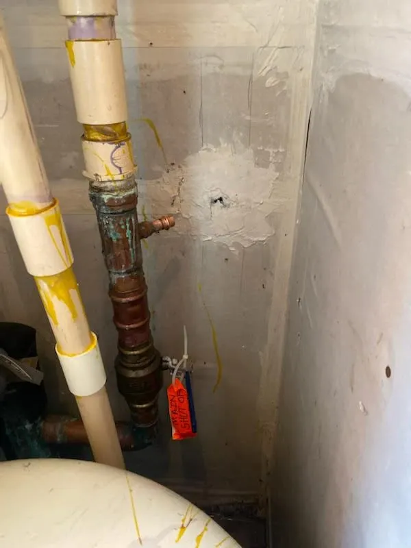 Slide of Ricardo's Services