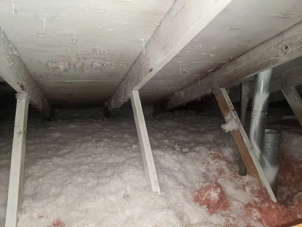 Slide of Richard Fernandez Maintenance Services