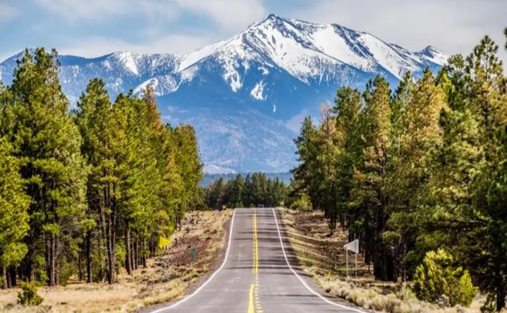 Slide of Richard Fernandez Maintenance Services