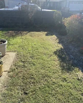 Richards Beards and Mowers landscaping