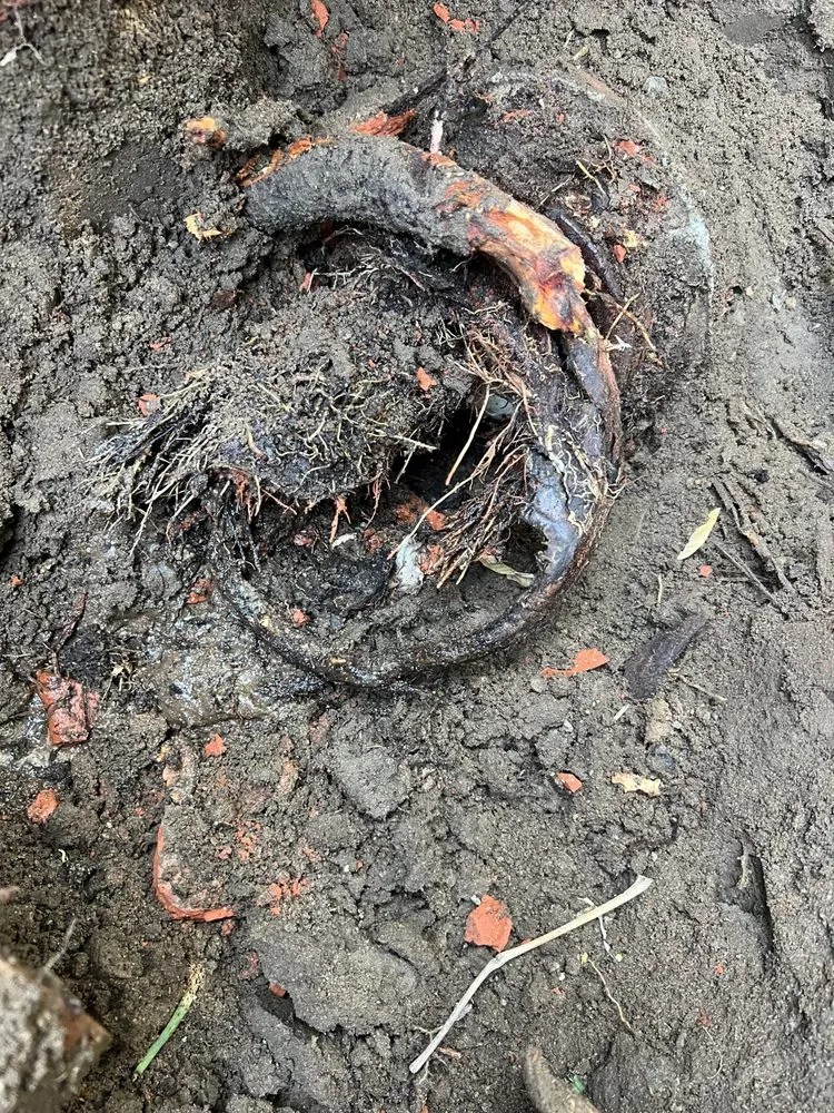 Slide of Richard's Rooter & Plumbing Service