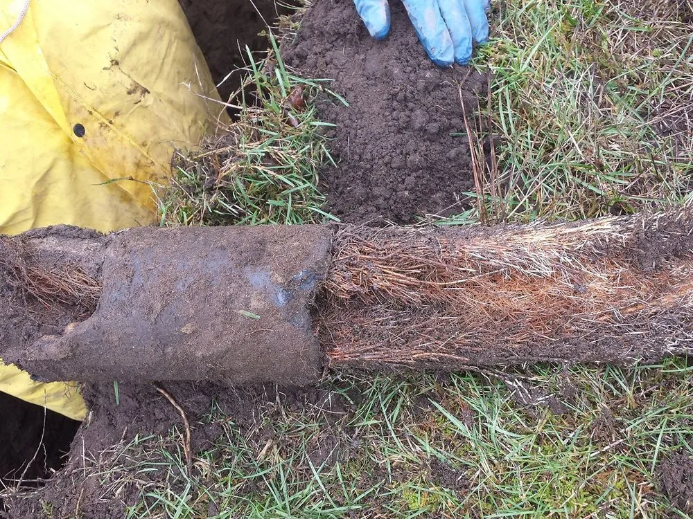 Slide of Rich's Rooter Service