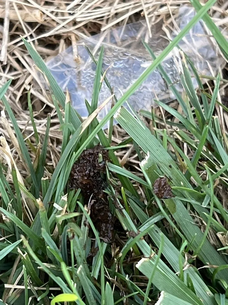 Slide of Rick Monz Plumbing