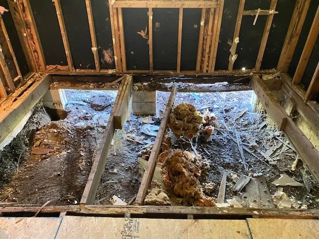 Slide of Rief Construction & Remodeling