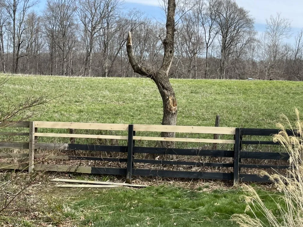 Reliable pipe repair service in Fredericksburg, VA - Right Angle Renovation