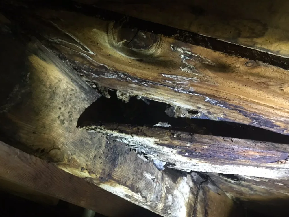 Professional leak detection experts serving Moreno Valley, CA - Right Away Rooter Plumbing