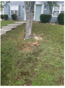 Slide of Right Price Plumbing and Septic