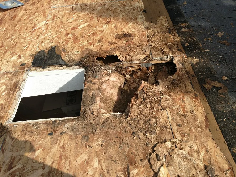 Slide of Right Way Services