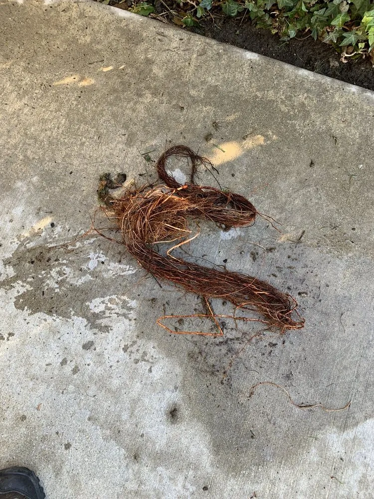 Slide of Righteous Plumbing