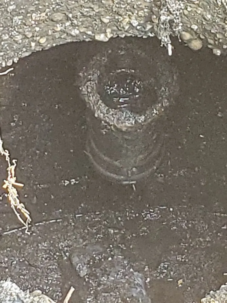 Slide of Rignola Cesspool Service